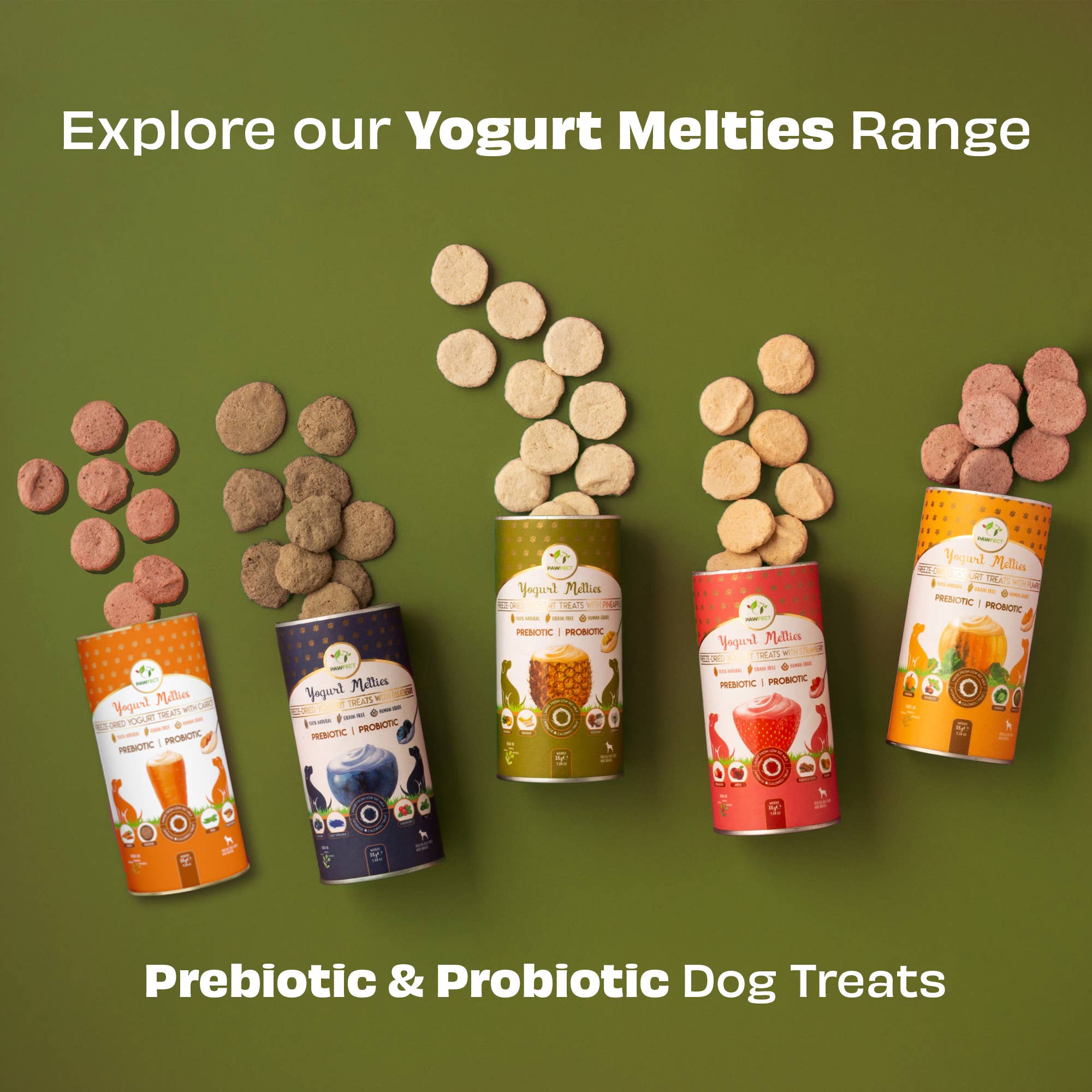Pawfect Foods – Engroshandel Godbid - Hund – Pawfect Yoghurt Melties Pre- og Probiotiske Hundegodbidder med Ananas, Kokos, Banan, Mælkebøtte | Sund Fordøjelse l Få Kalorier | Korn- & Glutenfri | Belønnings- eller Træningsgodbidder (38g/1.34oz)6