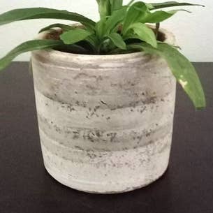 Women of the Cloud Forest - Wholesale Plant Pot - Small Cylinder Concrete-washed Planter0