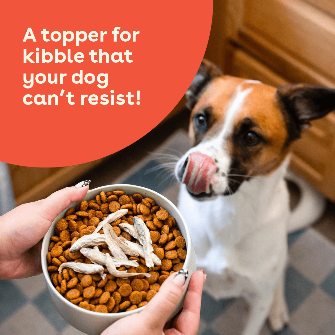 Pupford - Wholesale Pet Treats - Dog - Freeze Dried Minnows 1.5oz5