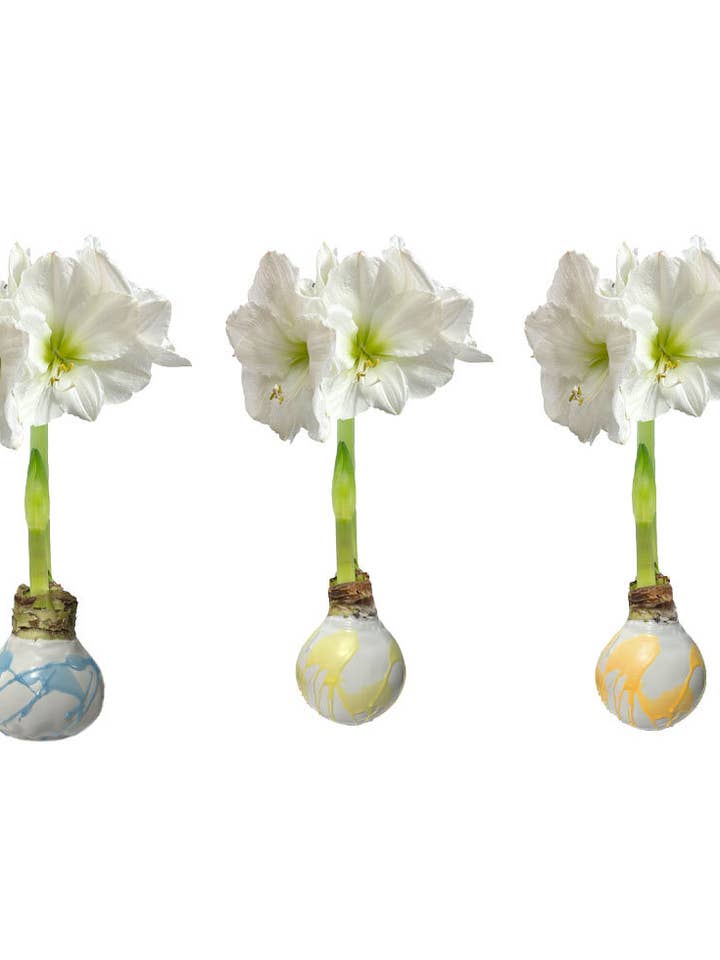 Pastel Trio Mixed Splatter Wax Crate 34+ 18 Bulbs/Crate for wholesale by Let 'Em Bloom