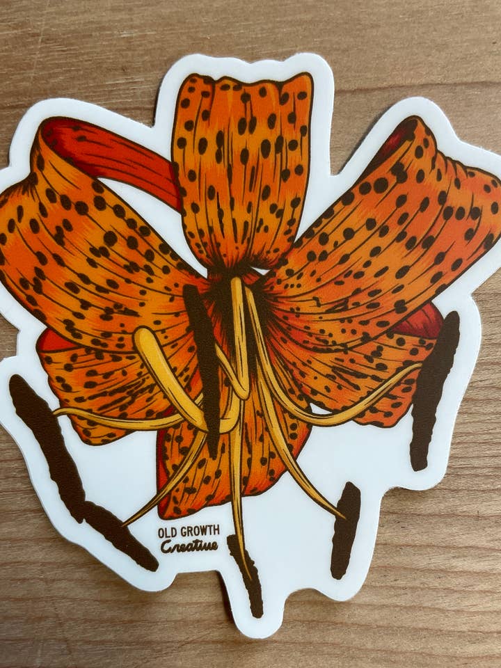 Tiger Lily Sticker for wholesale by Old Growth Creative