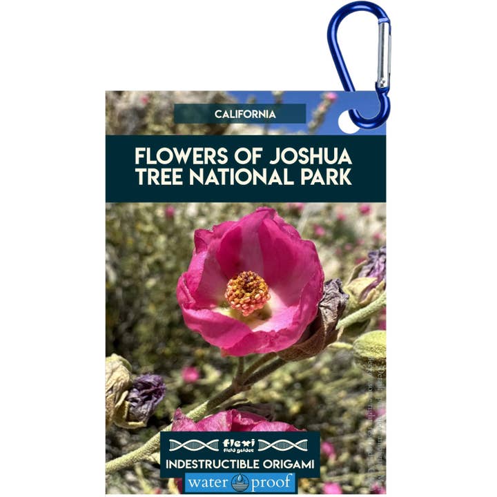 Fiori del Joshua Tree NP-Indistruttibile Origami per la vendita all'ingrosso da parte di Flexi Field Guides