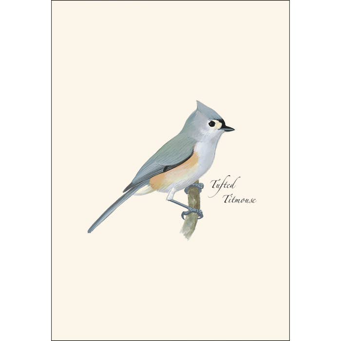 Earth Sky + Water - Wholesale Stationery/Notecard Set - Tufted Titmouse1