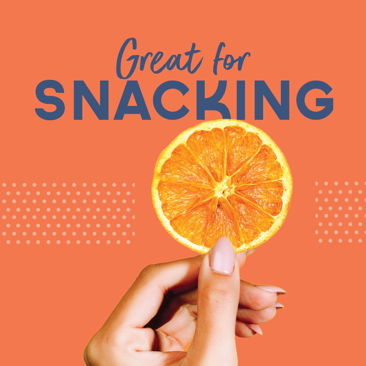 BlueHenry LLC - Wholesale Dried/Dehydrated Fruit - Dehydrated Orange Wheels (Small Case)4