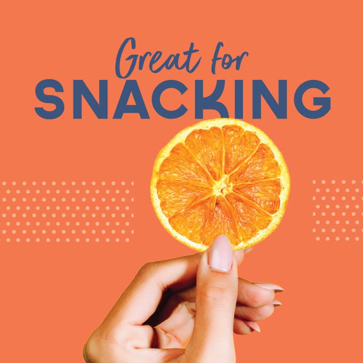 BlueHenry LLC - Wholesale Dried/Dehydrated Fruit - Dehydrated Orange Wheels (Small Case)4