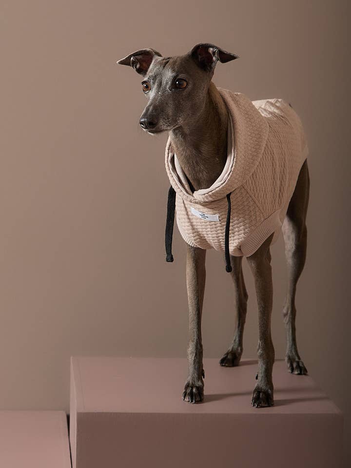 Chaleco con capucha texturizado en arena de Galgo Italiano / Whippet BIRCH para venta al por mayor de The Striped Dog