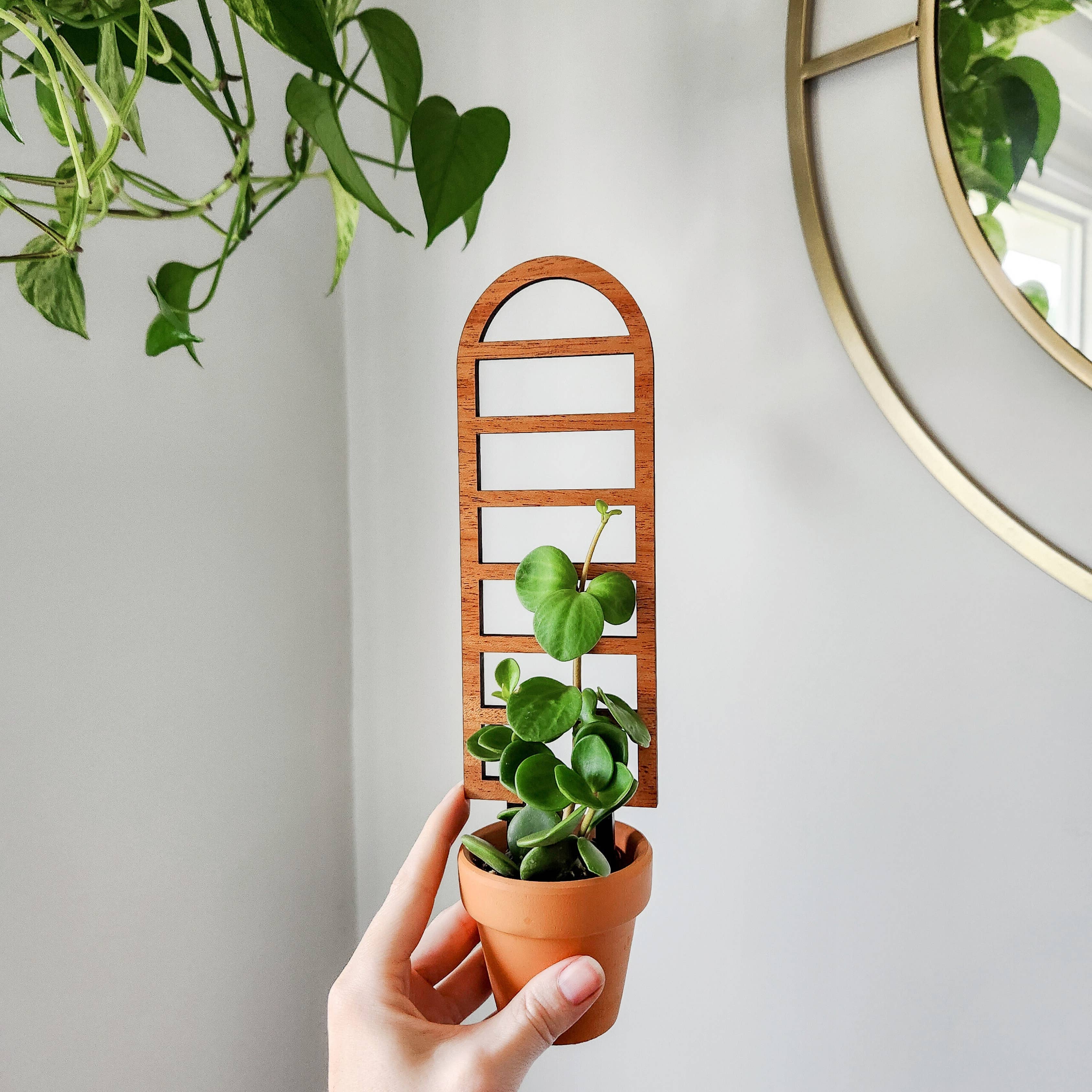 Leaf & Node - Wholesale Trellis - Ladder-Style Arch Trellis - for Indoor Plants (2 Sizes)0