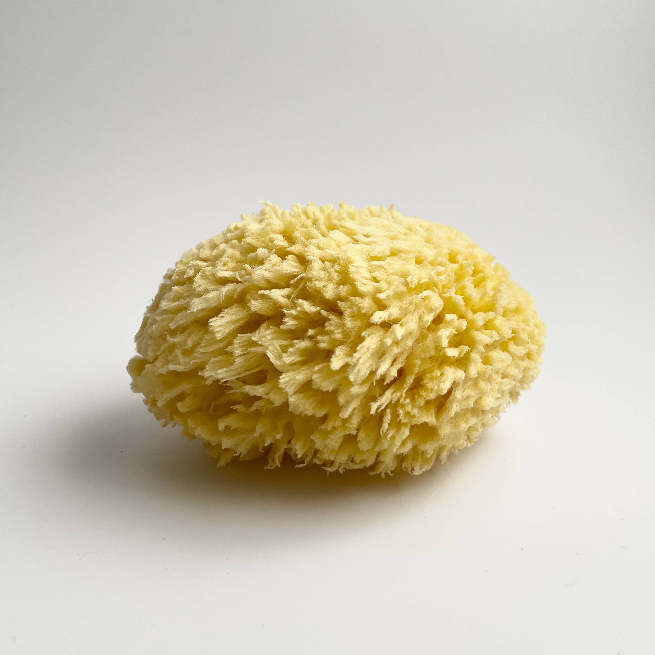 Nectar Republic - Wholesale Bath pouf/sponge - Large Natural Bath Sea Sponge 4.5” - 5” ( Wool )