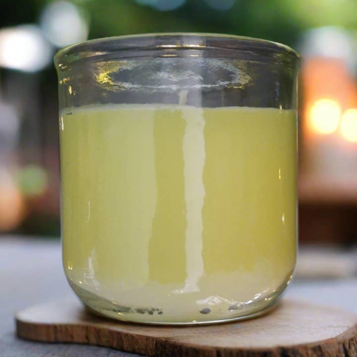 Vela de Cera de Soja con Citronela Great Outdoors para venta al por mayor de Allison's Goods