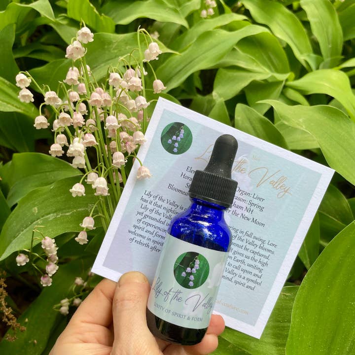 Stenella Farms - Wholesale Flower essence - Lily of the Valley Flower Essence3