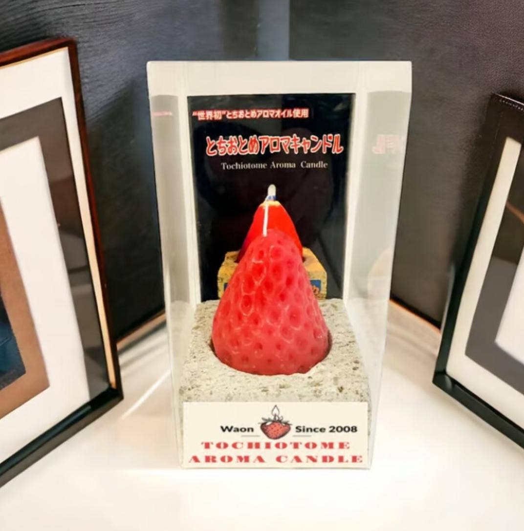「FUNJI」In Japan - Wholesale Novelty Candle - Strawberry Soy Candle with Oya Stone Tray2