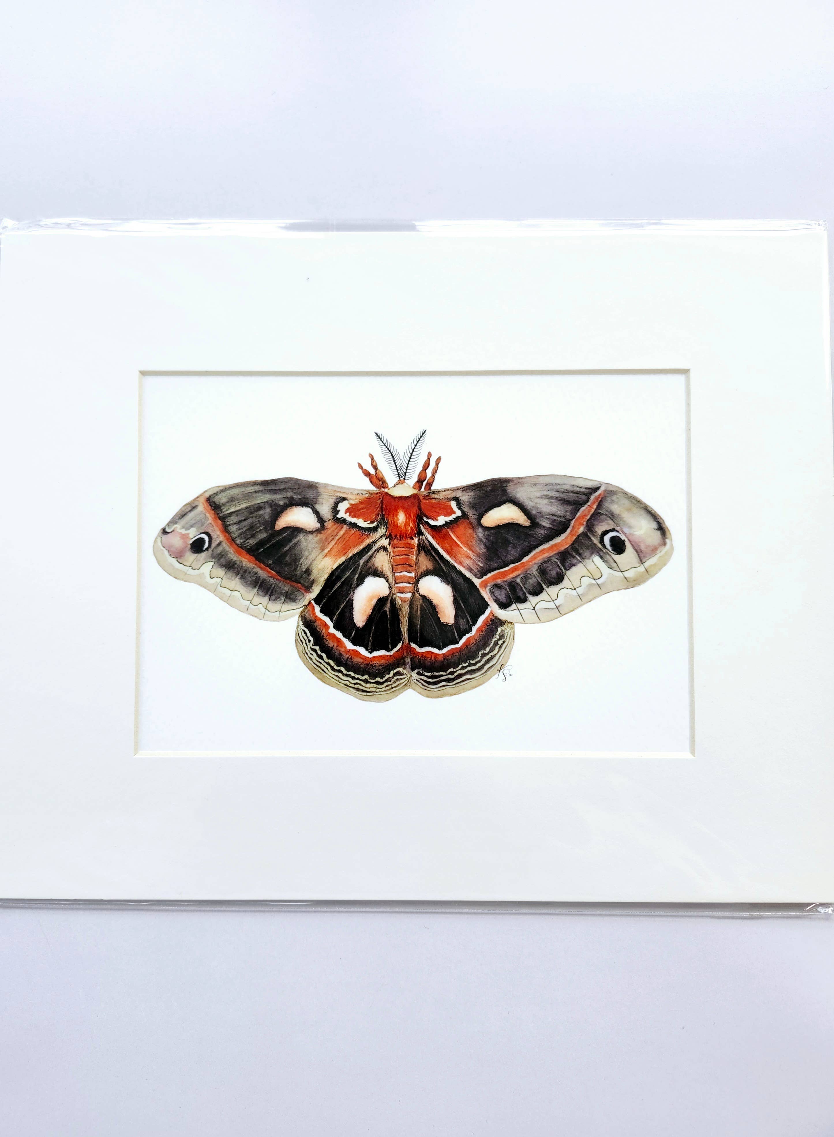 Redbriar Studio - Wholesale Art Print - Art Prints9