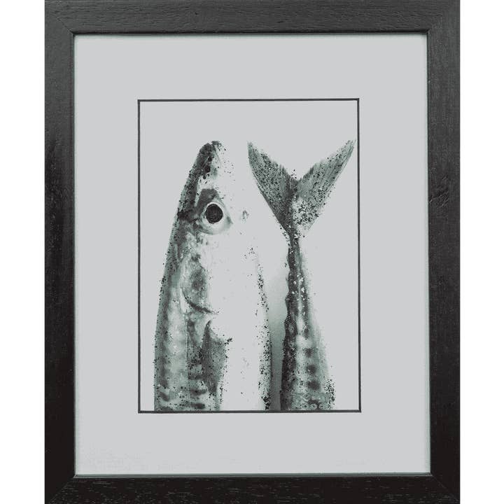 Atlantisk makrel 1 for engroshandel hos Kelly Hood Art & Design Studio