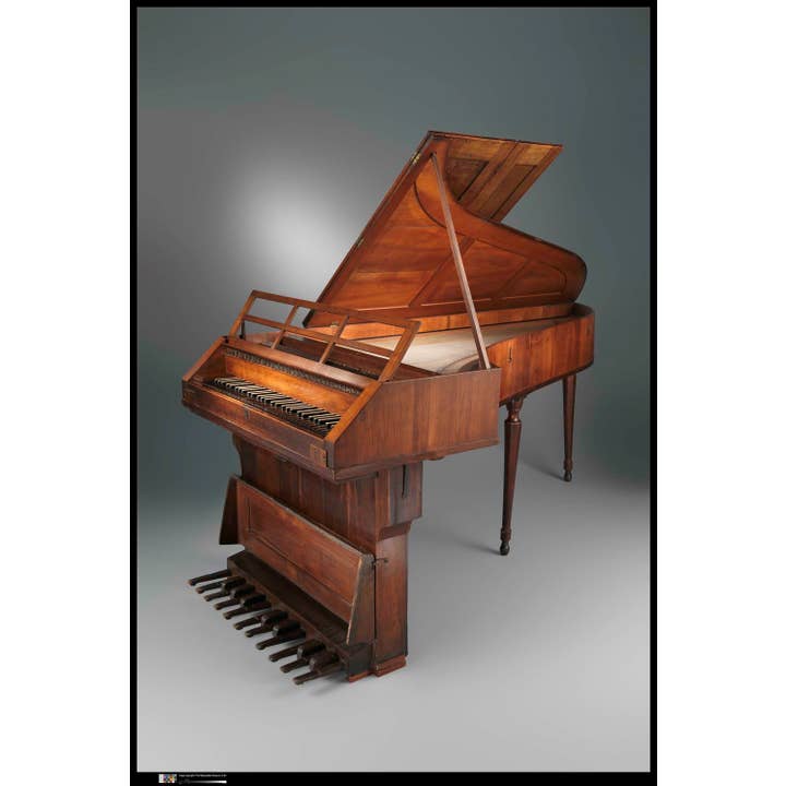 Texas Bookman – Engroshandel Bog - Voksen – Musikinstrumenter