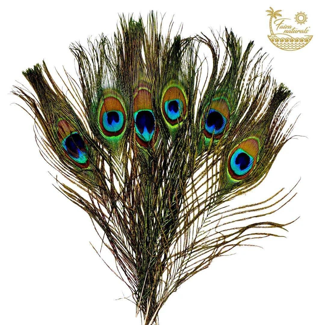 The Hare And The Moon - Wholesale Sage Bundle - Peacock Feathers For Smudging0