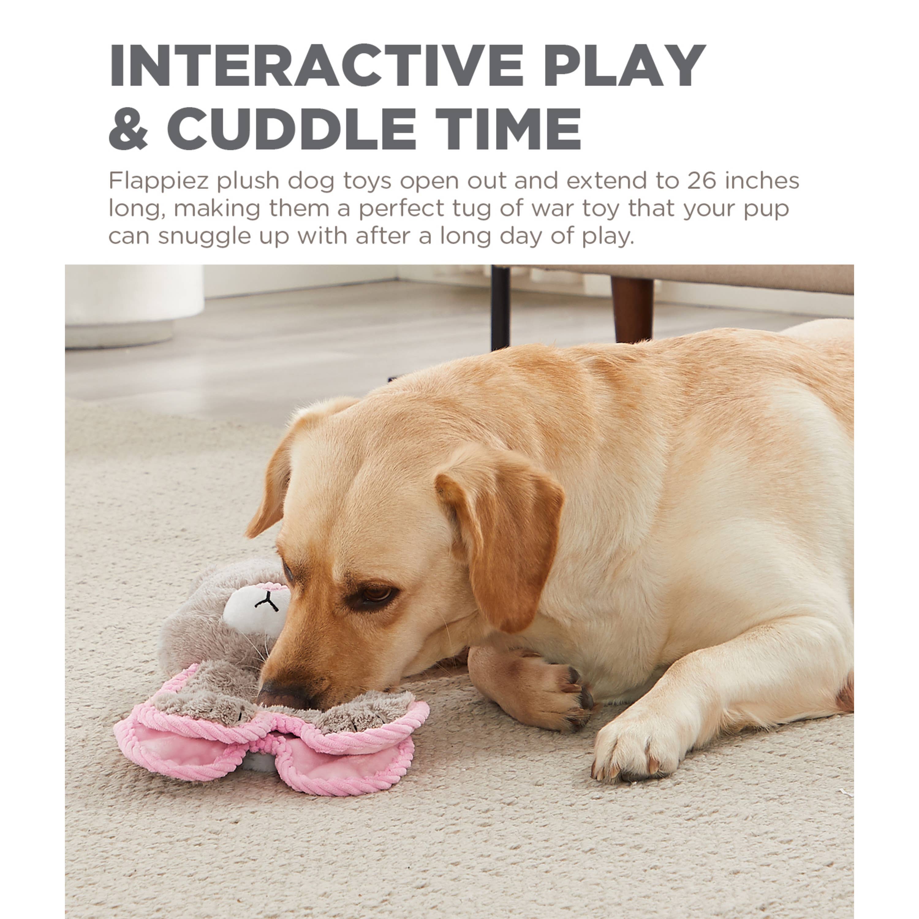 Pet Palette Distribution - Wholesale Pet Plush Toy - Dog - Outward Hound Cuddle Tugs Bunny Plush Dog Toy2