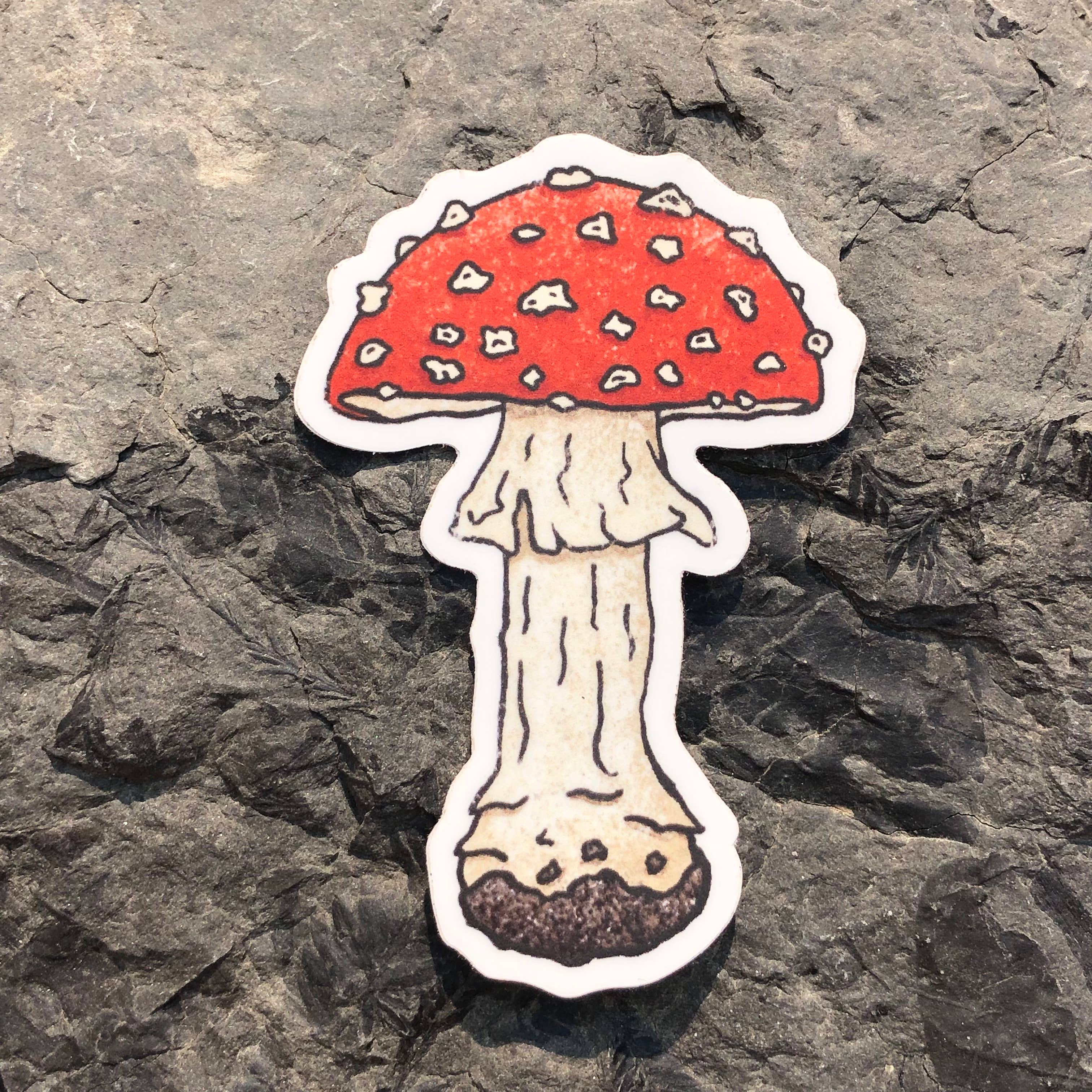 The Fungi Arcana – wholesale Klistermärke – Fly Agaric Mushroom - Vinyl klistermärke1