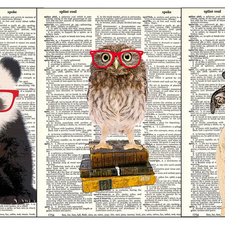 Smart Animals Set for wholesale by Fresh Prints of CT