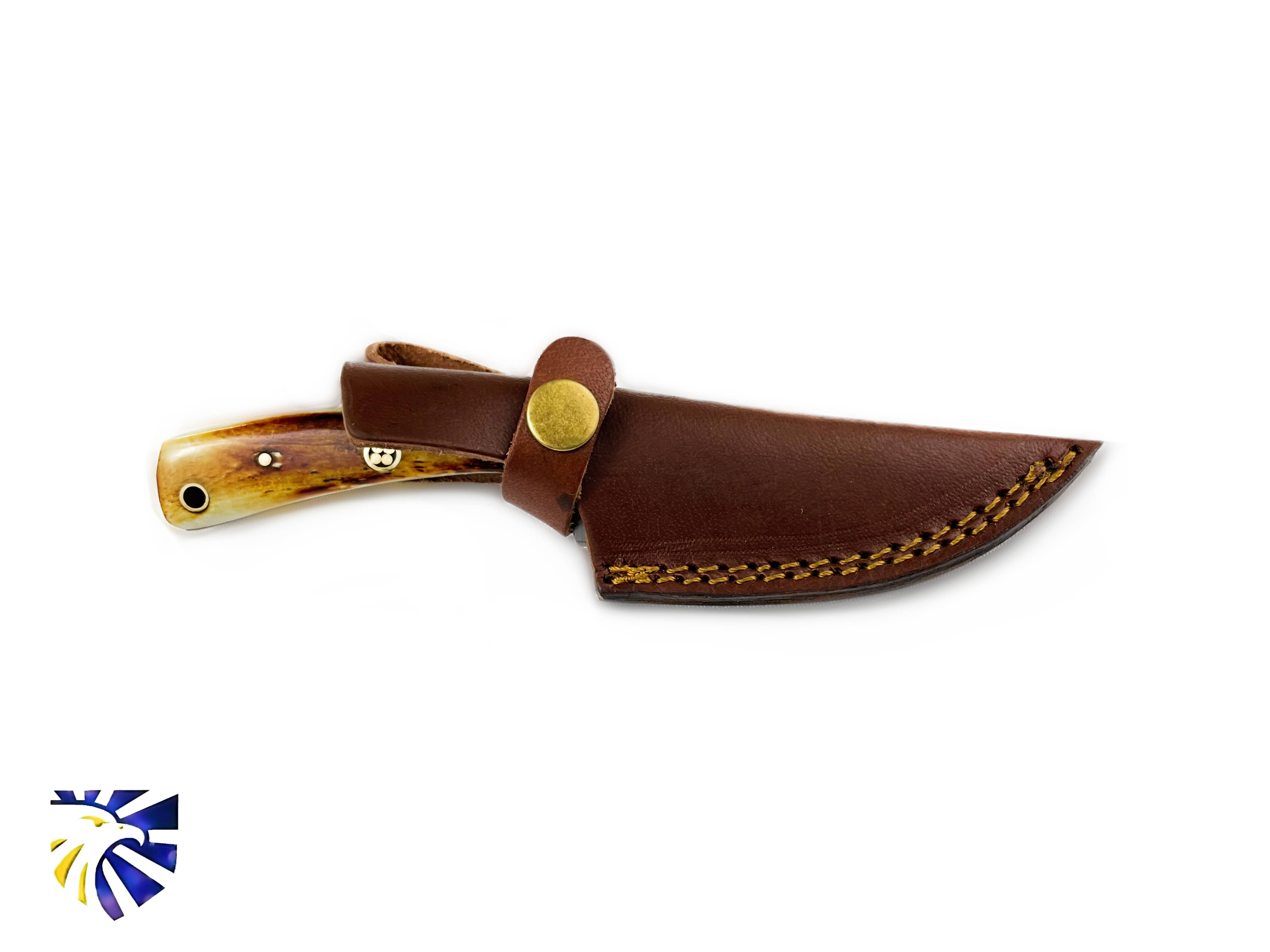 Titan International - Wholesale Pocket Knife/Holder - Carbon Skinning/Hunting Knife TC-604