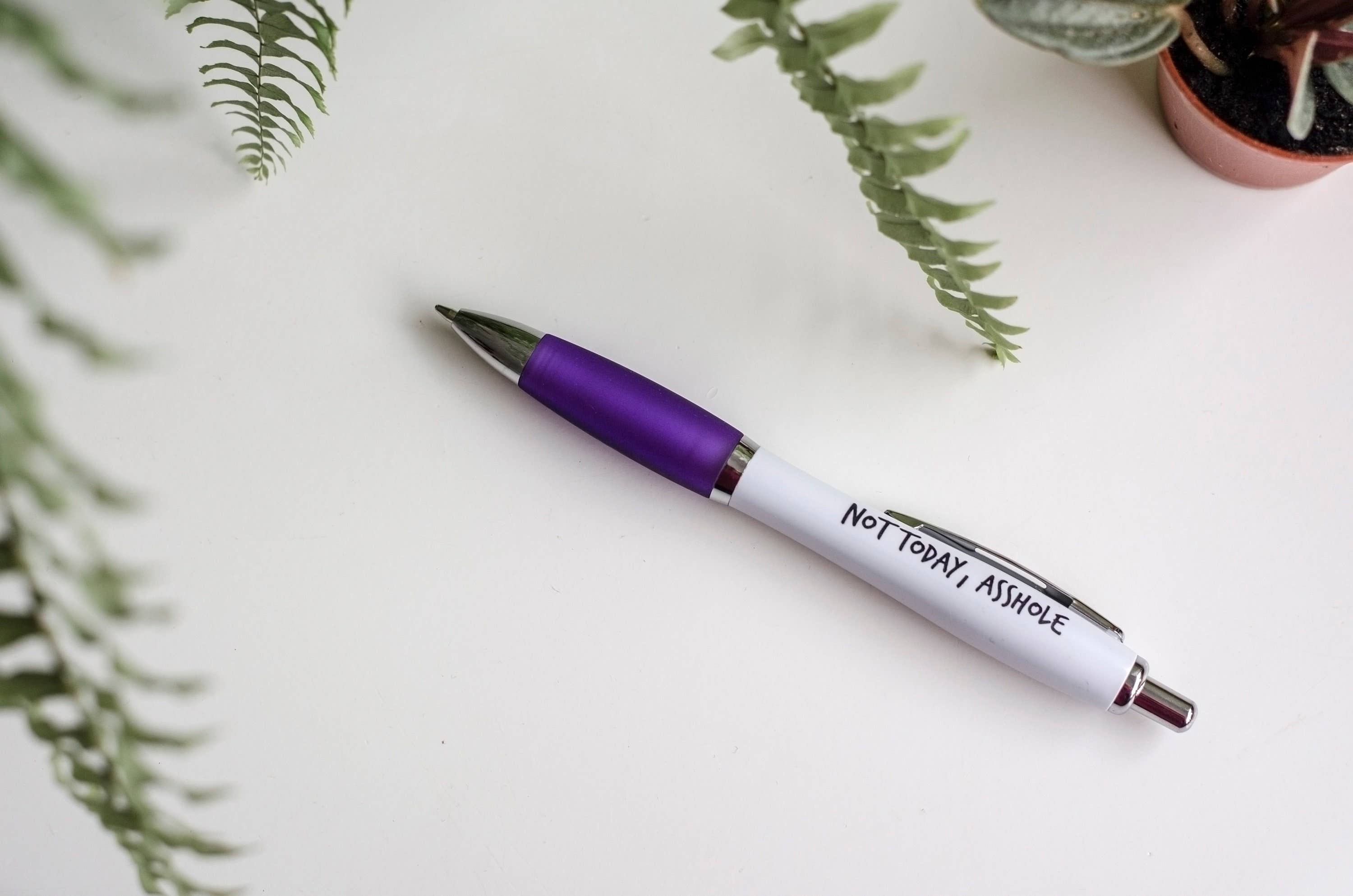 F Bomb Designs - Venta al por mayor Bolígrafo - SWEARY PENS/Not Today Asshole/Bolígrafo divertido y grosero para adultos2