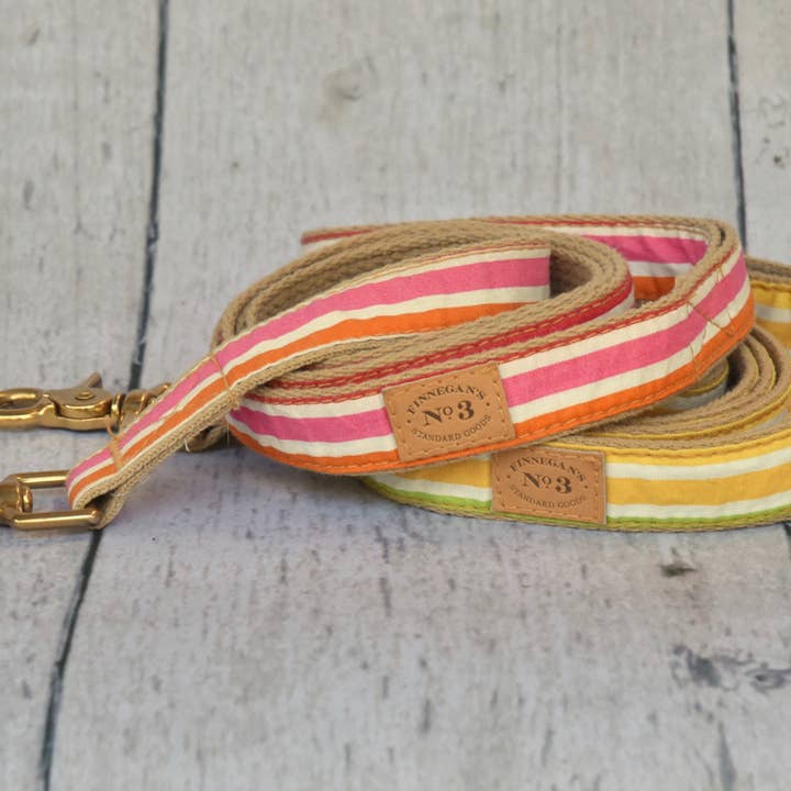 Finnegan’s Standard Goods - Wholesale Pet Leash - Dog - 1 inch Fruit Stripes Lead