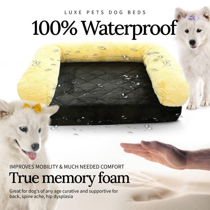 Luxe Pets Products - Wholesale Pet Bed - Dog - Pet Bed Memory Foam Luxurious Velvet, Faux Fur - Medium, Black Gold