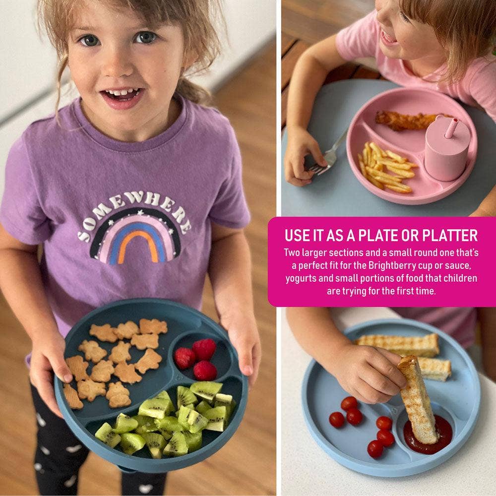 Brightberry - Wholesale Dinner Plate - Kids & Baby - Divided Suction Plate5