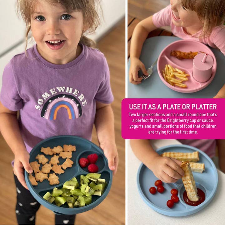 Brightberry - Wholesale Dinner Plate - Kids & Baby - Divided Suction Plate5