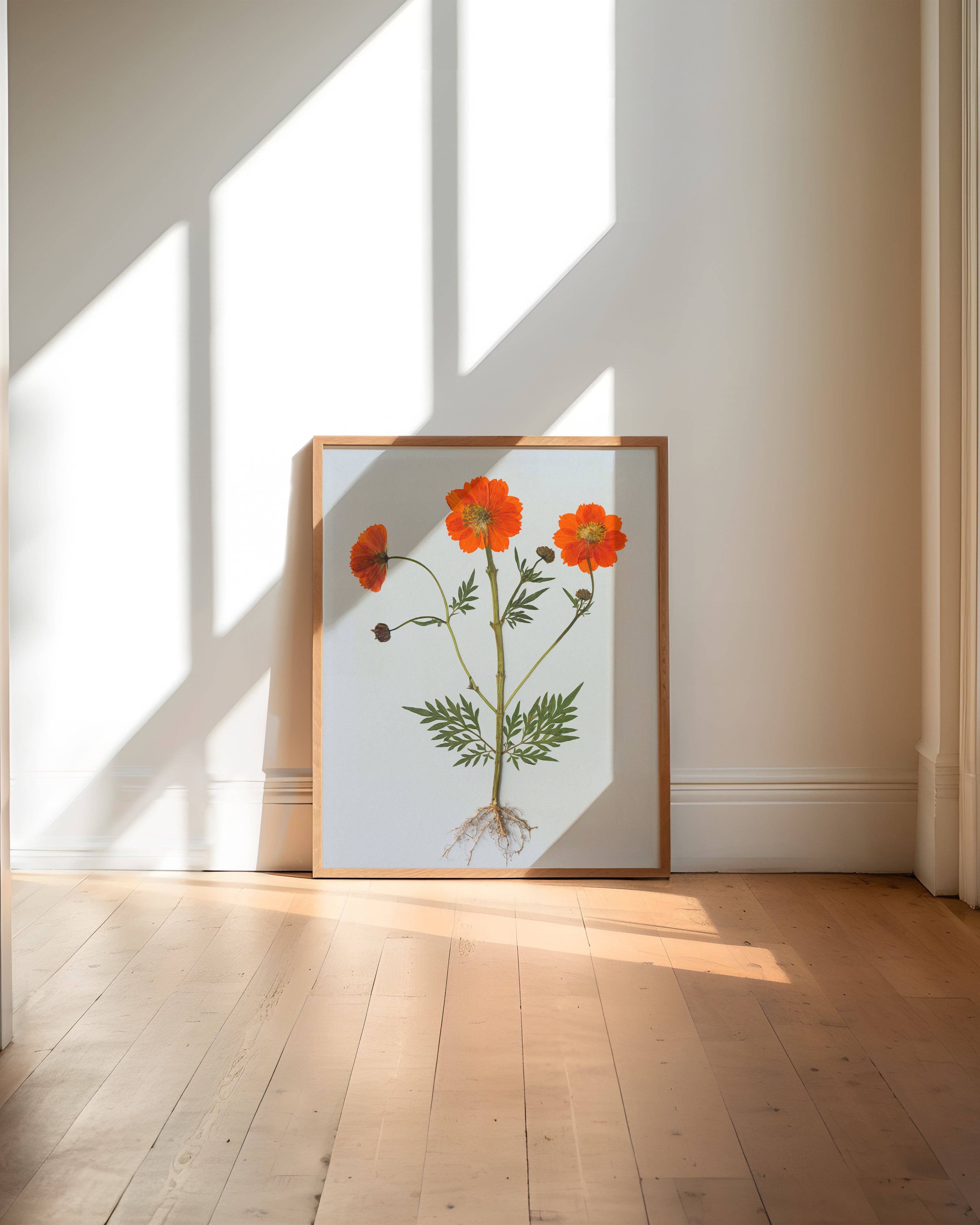 Hope Steinle Pressed Flower Art - Wholesale Art Print - Root Series No. 45