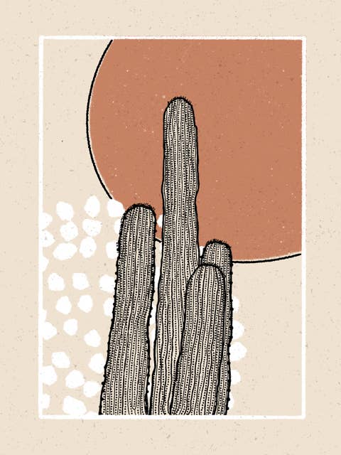 Cocoa Print for wholesale by Walker Noble Studios