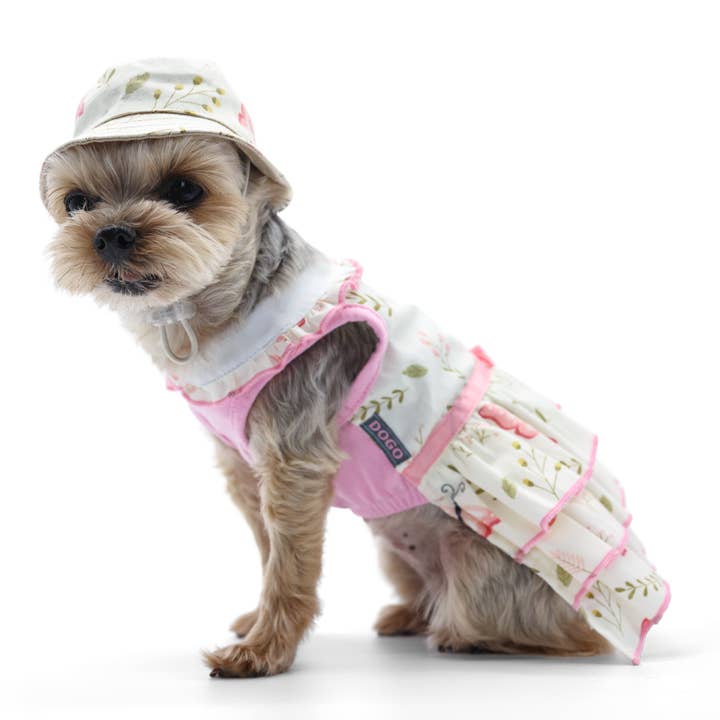 Dogo Pet - Vente Bob – femme - Bob papillon7