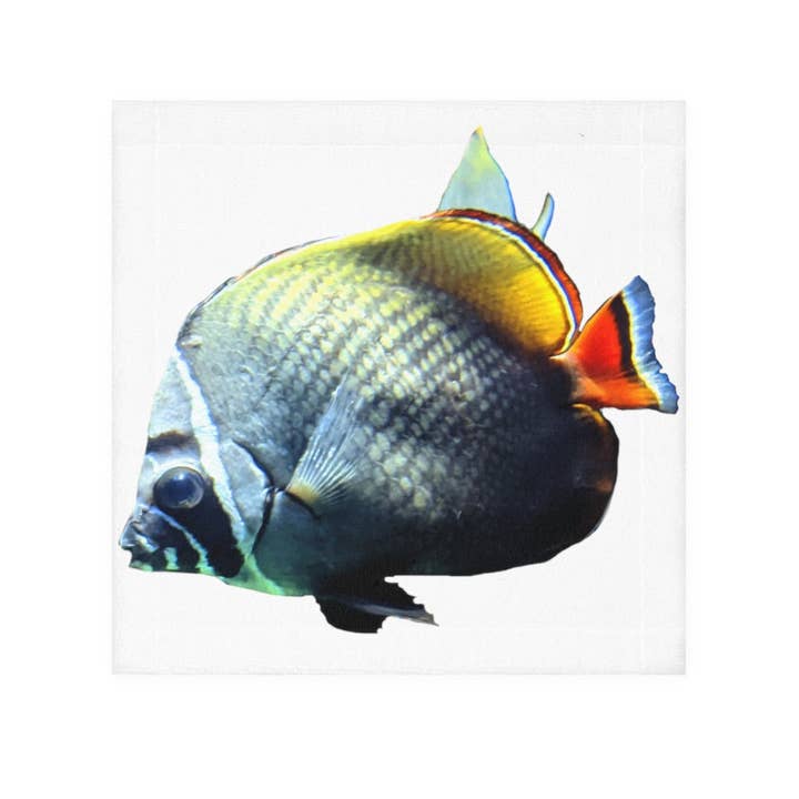Asciugamano colorato pesce per la vendita all'ingrosso da parte di Marick Booster