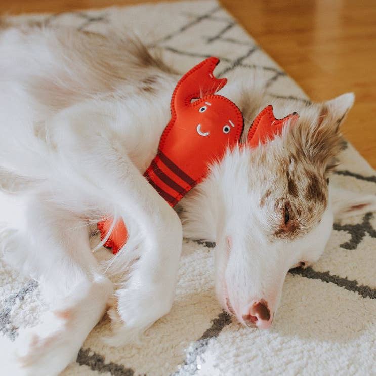 Jax & Bones – Engroshandel Legetøj - Hund – Lola hummer neopren hundelegetøj (one size)2