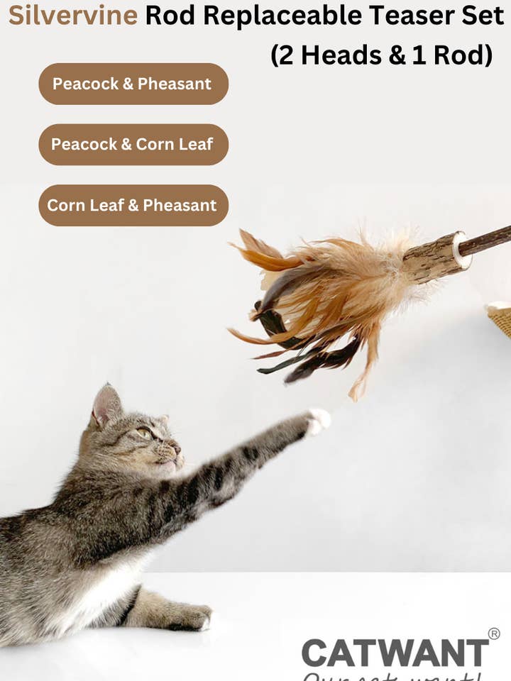 Silvervine Stang Udskifteligt Drillesæt - 2 Hoveder & 1 Stang for engroshandel hos CATWANT