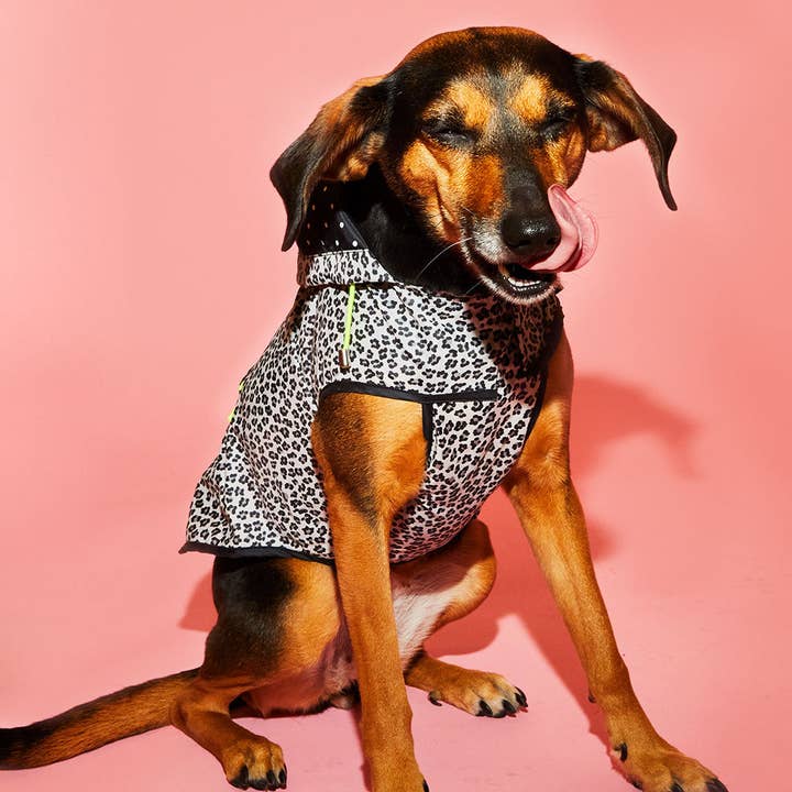 Ware of the Dog – wholesale Hundregnrock - Hund – Svart & Vit Leopard Print Regnrock w/Hood