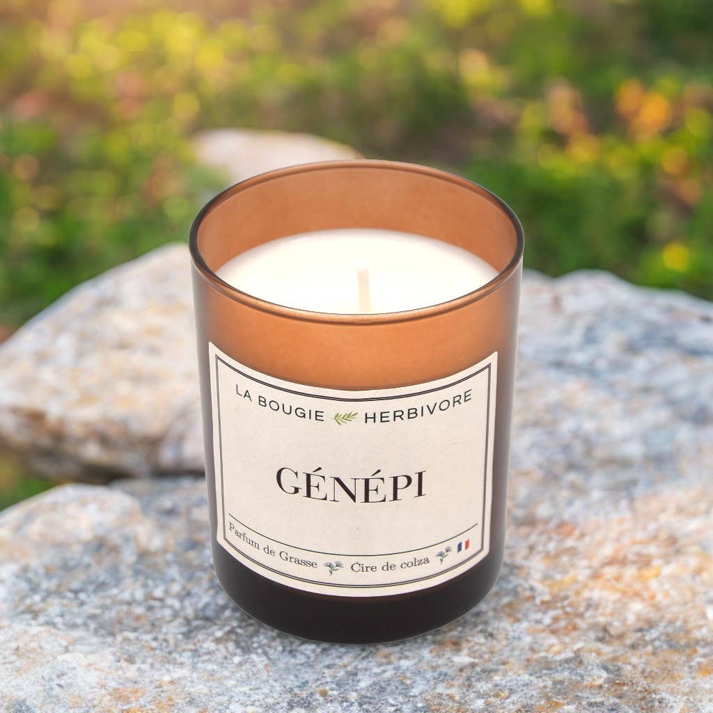 LA BOUGIE HERBIVORE - Venta al por mayor Velas en tarros - Vela aromática Génépi con cera ecológica de colza 180 g3