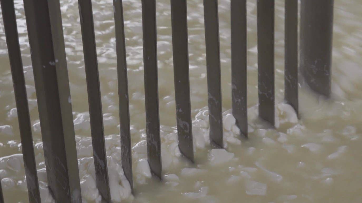 Nicola's Marketplace - Wholesale Cheese - Genuine Fulvi® Pecorino Romano DOP6