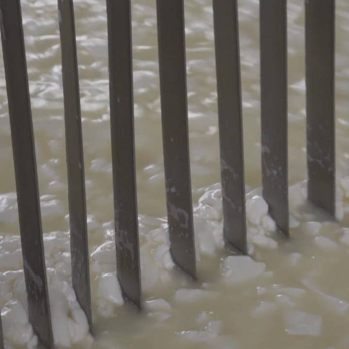 Nicola's Marketplace - Wholesale Cheese - Genuine Fulvi® Pecorino Romano DOP6