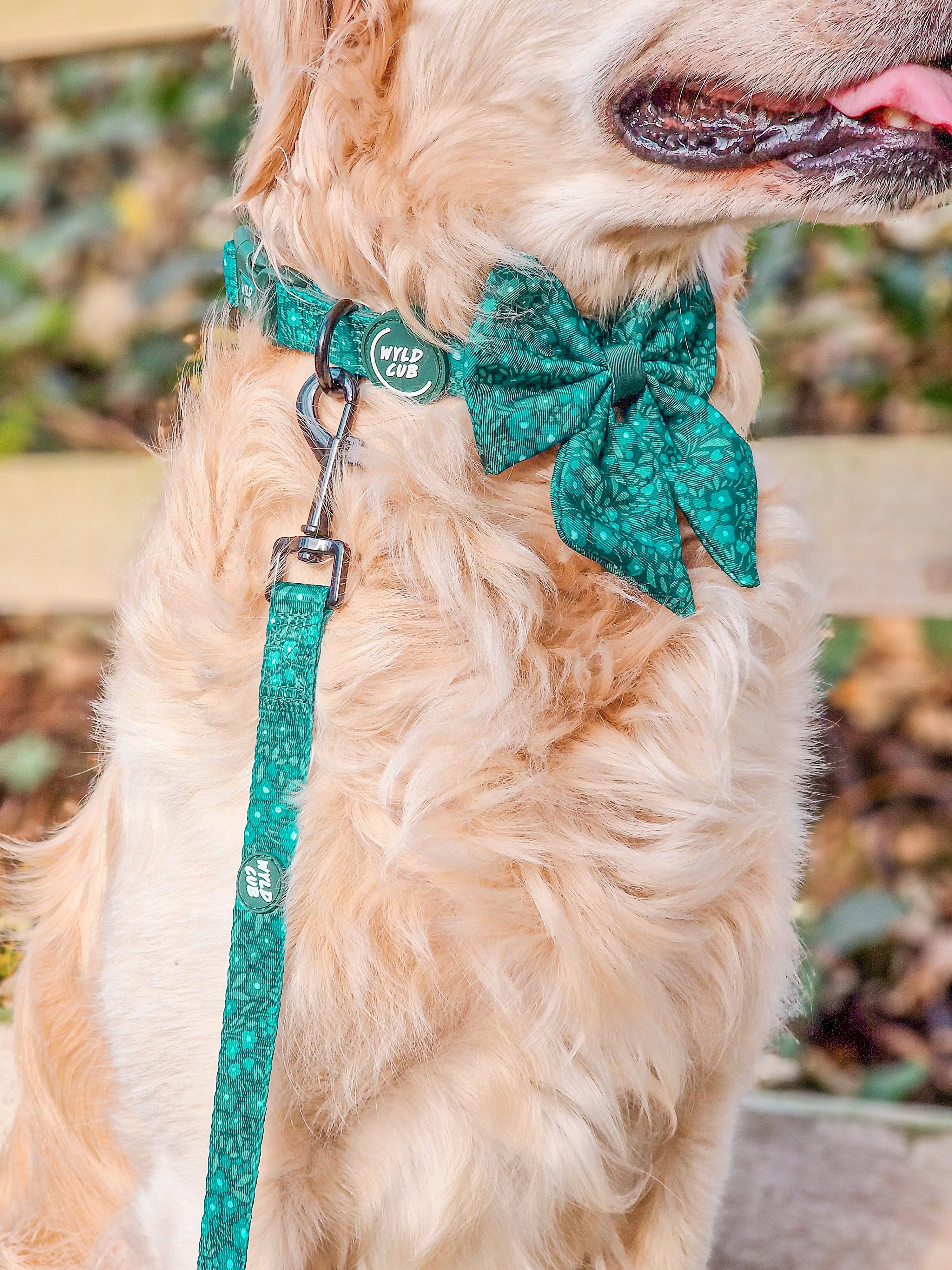 WYLD CUB – wholesale Pet leash – Dog – Dog Lead: Notting Hill Gooseberry9