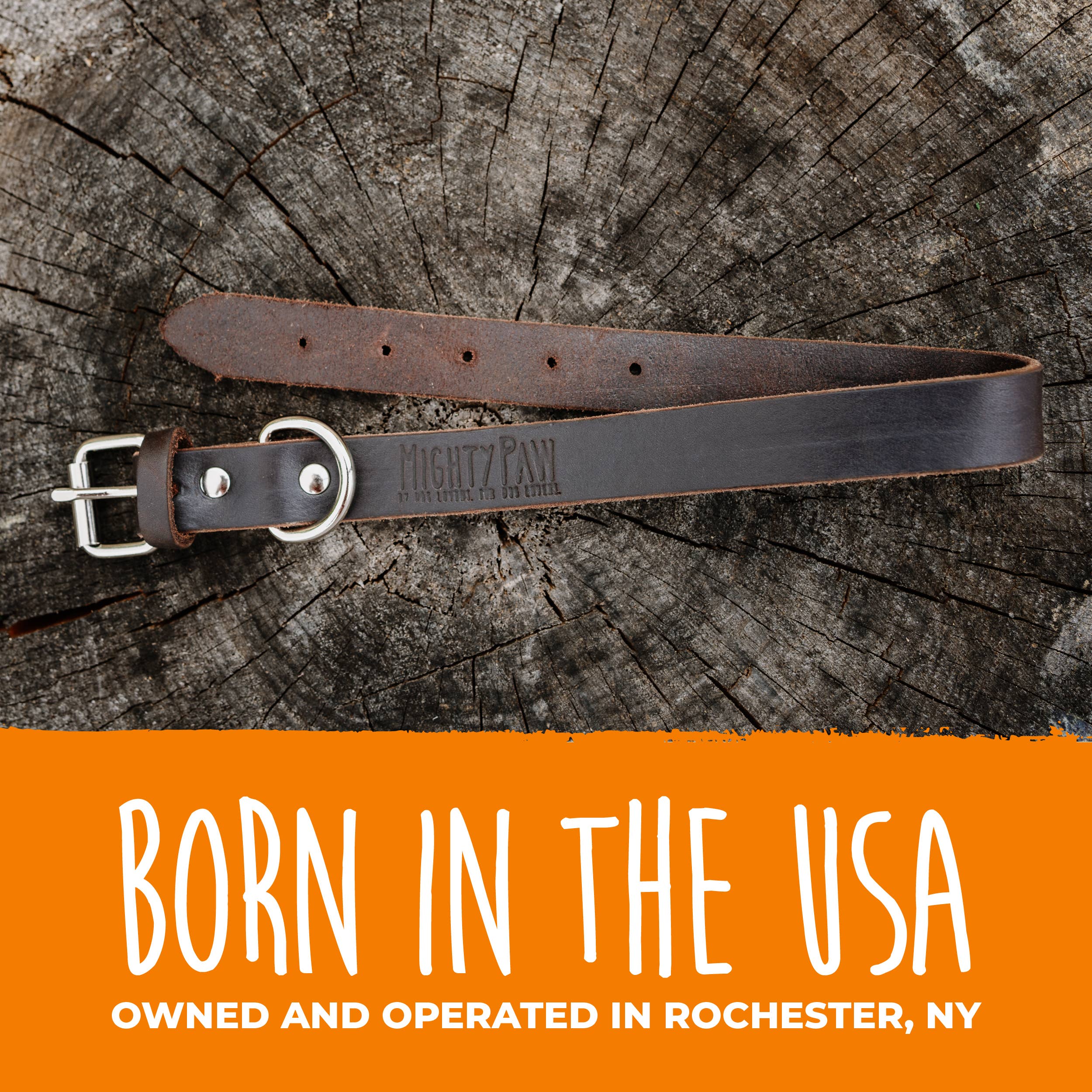 Mighty Paw - Wholesale Pet Collar - Dog - Leather Dog Collar - Distressed8