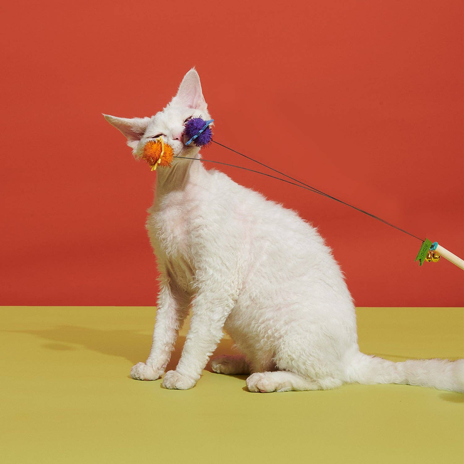 purrre - Wholesale Pet Toy - Cat - Blooming Cat Teaser Wand | Cat Toy8