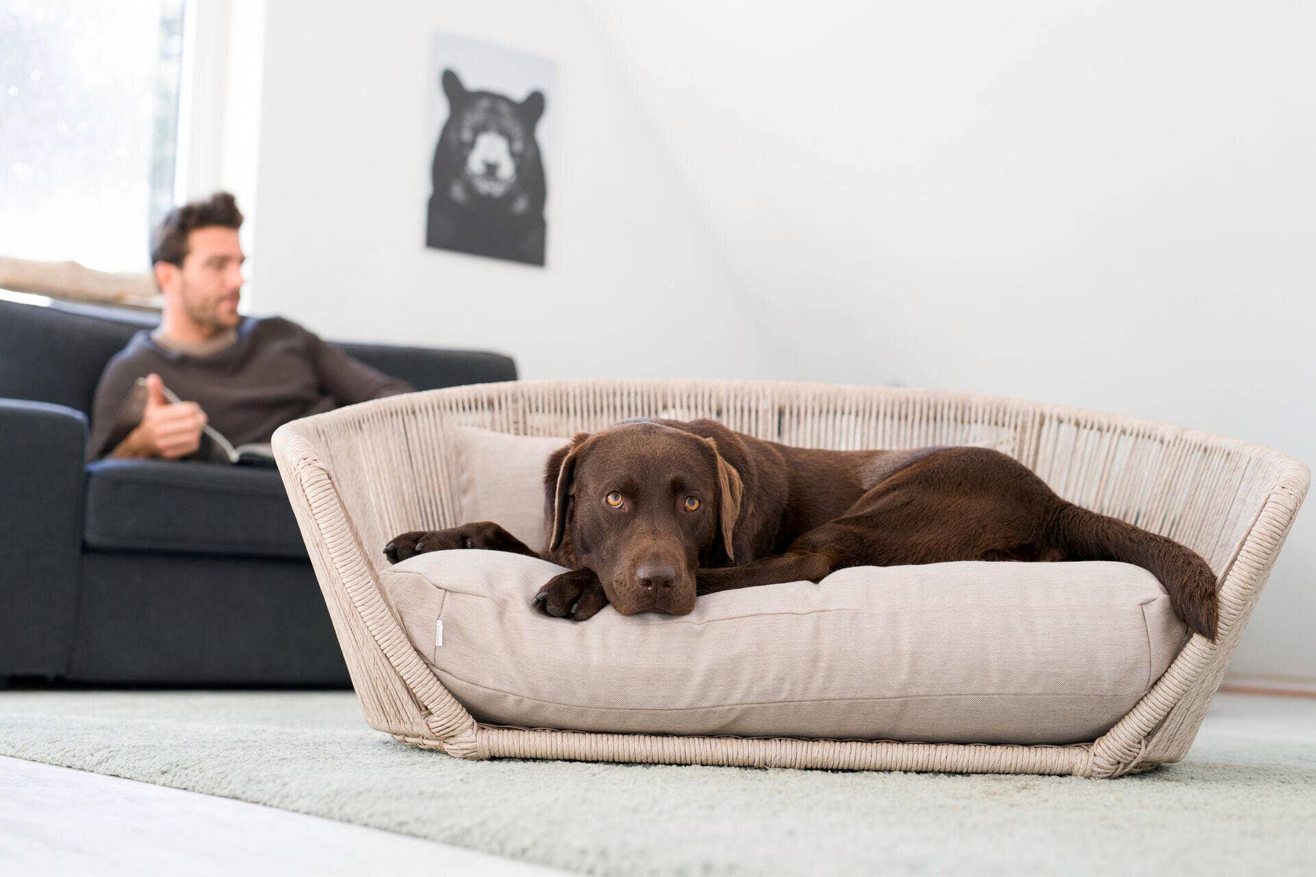 LABONI - Volentis GmbH - Wholesale Pet Bed - Dog - Vogue Design Smooth Dog Bed Collection4