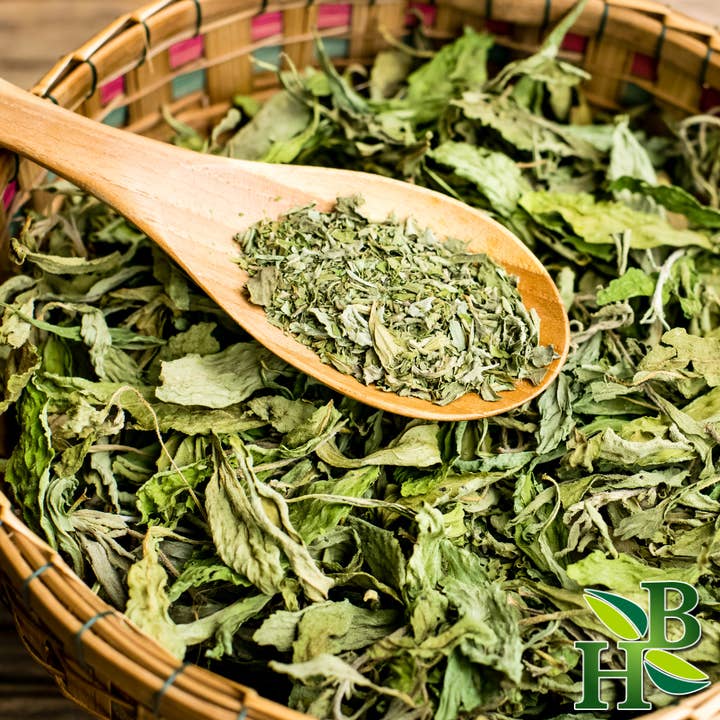 Herb To Body - Wholesale Herbs - Stevia Leaf C/S