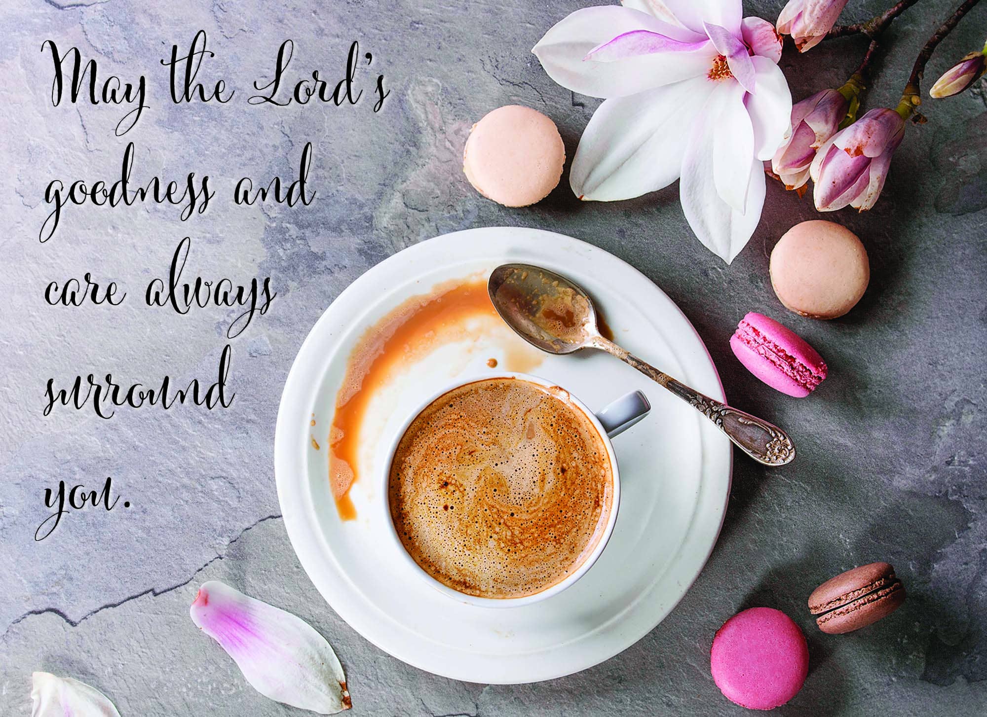 Crown Point Graphics - Vente Cartes d'anniversaire - Grand assortiment pour toutes les occasions - 24 cartes17