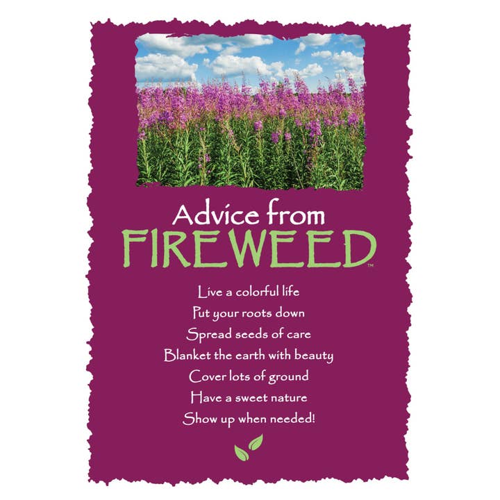 Advice from Fireweed Greeting Card - Blank for wholesale by Advice for Life by Your True Nature