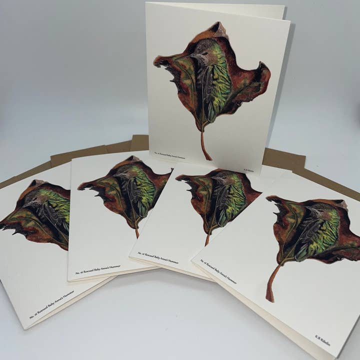 Bird Art by KB – Großhandel Briefpapier-/Postkarten-Set – Annas Kolibri - Gerettetes Baby - Notizkarte mit Umschlag