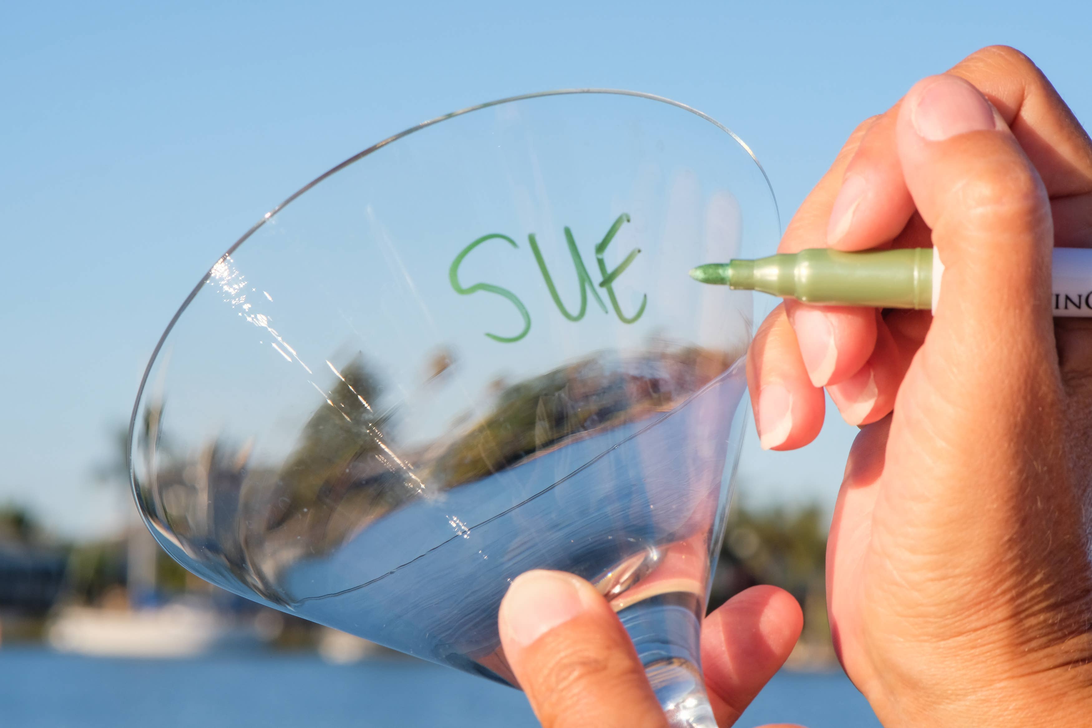 Cork Pops Inc - Wholesale Marker - vinOwriter,  Fall  copper and sage green1