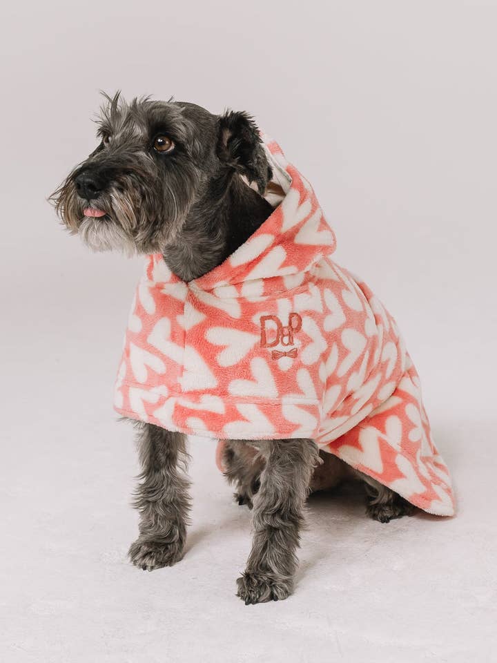 Robe de salon pour chien | Amour de chiot pour la vente par Darren & Phillip