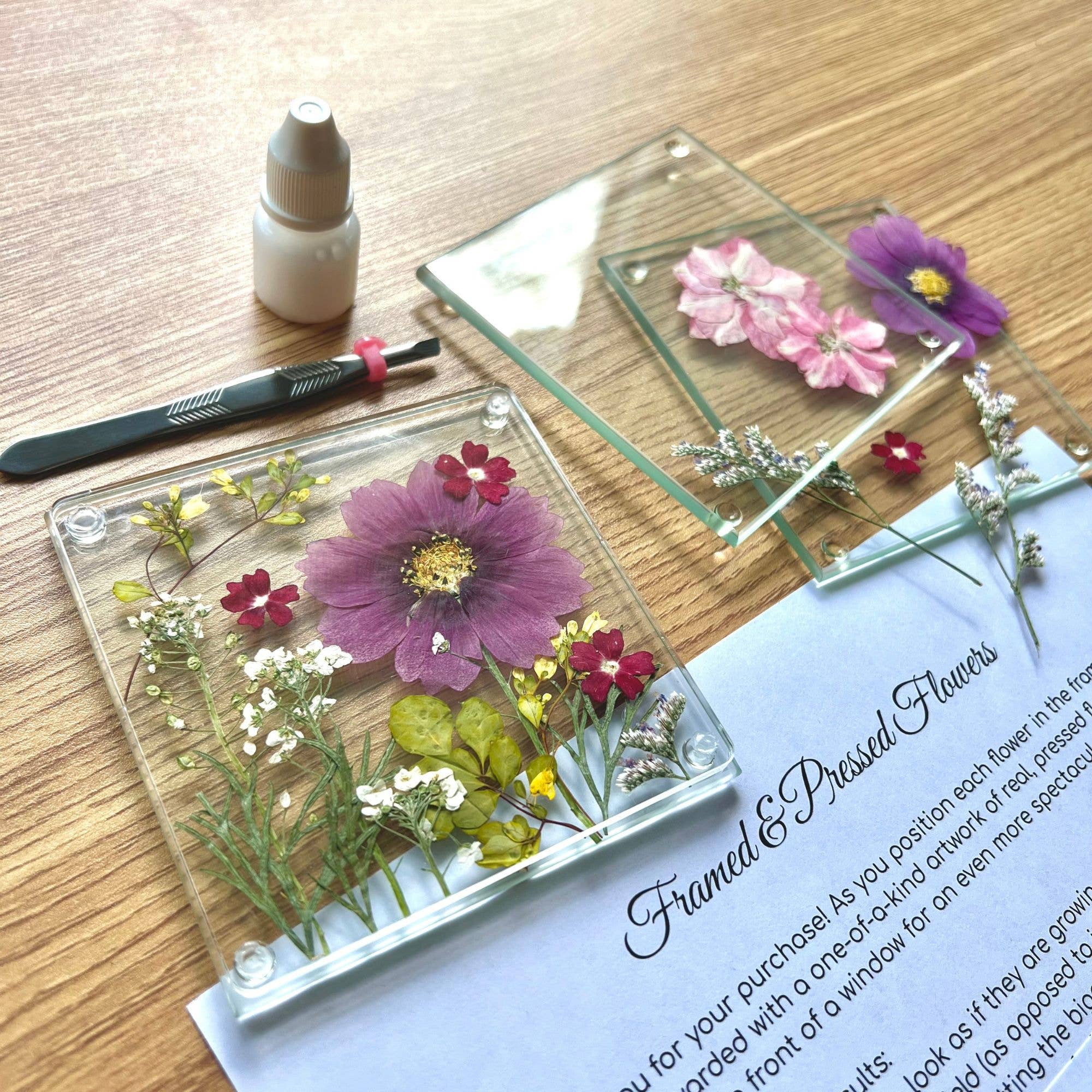 Petal And Press - Wholesale Doe-het-zelf-knutselset - Geperste Bloemen Onderzetters Doe-Het-Zelf Kit met echte gedroogde bloemen2