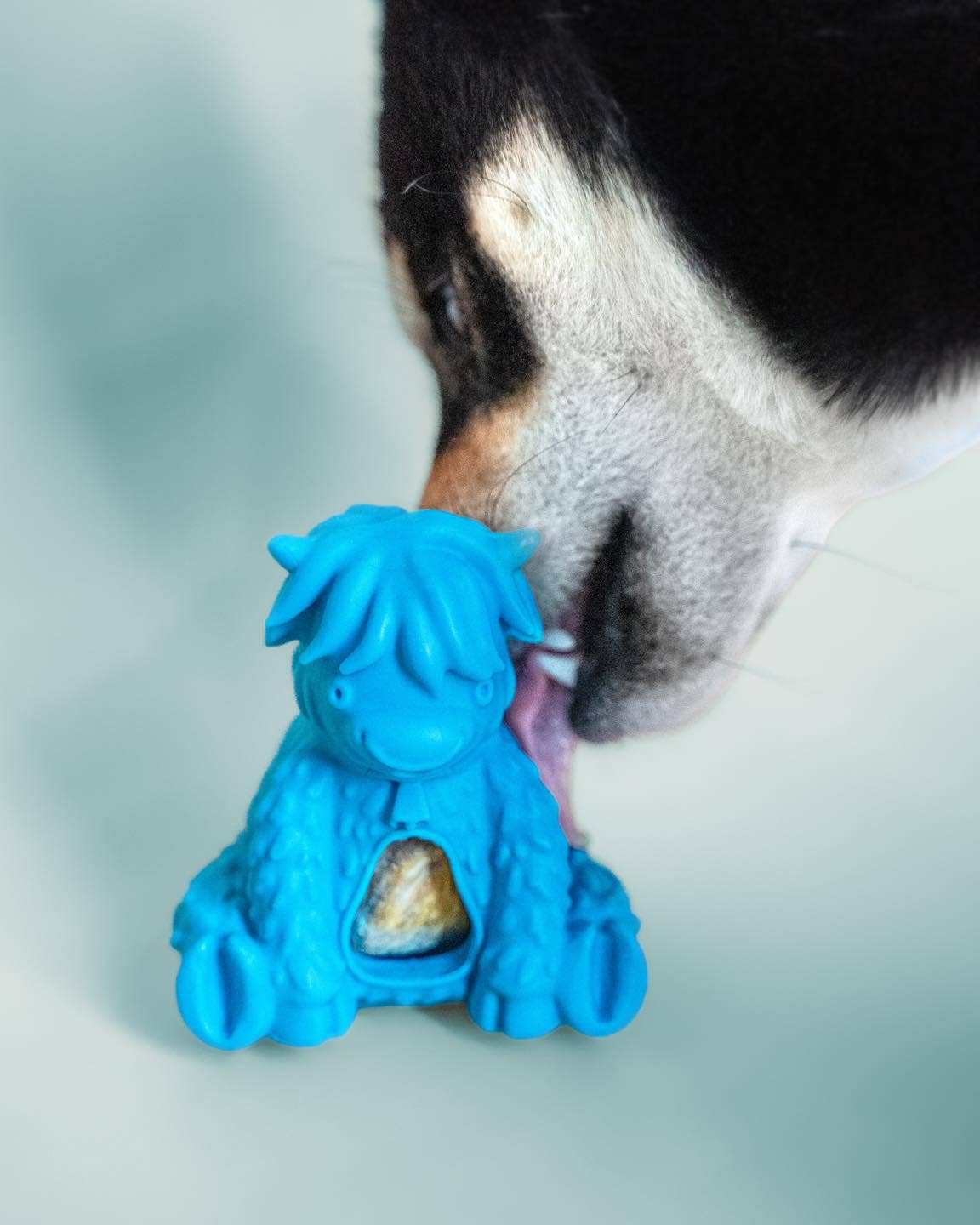 Yeti Dog Chew - Wholesale Pet Chew Toy - Dog - Puff & Play Starter Kit Mixed7